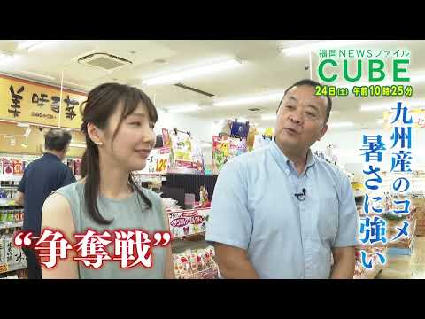 【公式】2024年8月24日(土)10:25～放送予告「福岡NEWSファイル CUBE」 | テレビ西日本