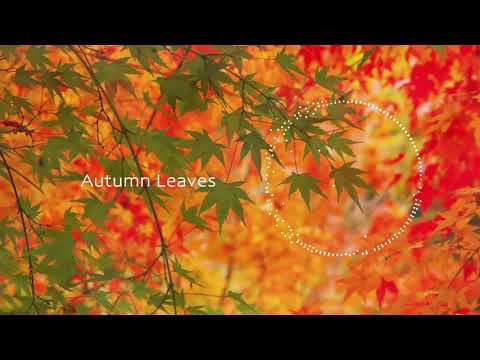 【BGM】Autumn Leaves 17min.ver