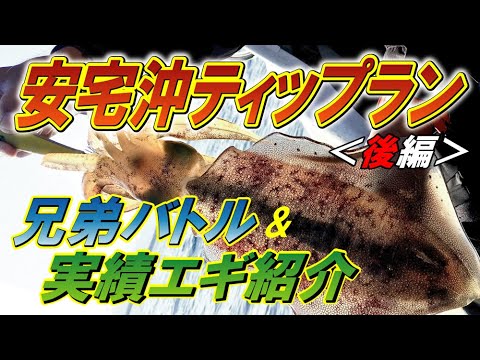 【ティップランエギング】アオリイカ釣り,兄弟対決＜後編＞