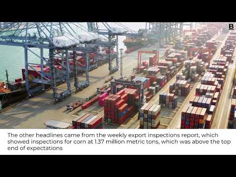 Export Data Hits the Newswire