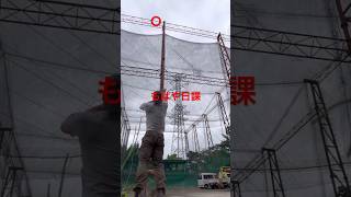 【ツリークライミング】毎日スローライン　#arborist #アーボリスト#treeclimbing #造園 #スローライン