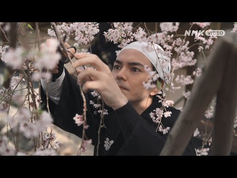 京都人の密かな愉しみ Blue 修業中 門出の桜 PR動画