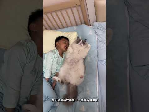 这真是我家猫咪最难熬最难忘的一段日子 #猫和孩子 #记录猫咪日常