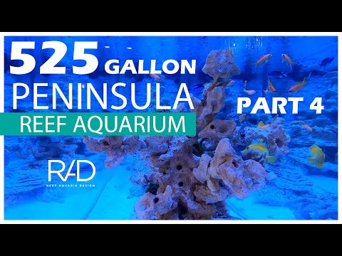 525 GALLON PENINSULA REEF AQUARIUM IN FLORIDA. BY REEF AQUARIA DESIGN. PART 4.