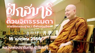 🪷ฝึกสมาธิด้วยจิตธรรมดา..#หลวงพ่อปราโมทย์ พระธรรมเทศนา 16 เมษายน 2566 #วัดสวนสันติธรรม #amtatham