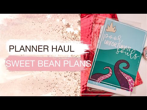 Planner Haul | SWEET BEAN PLANS