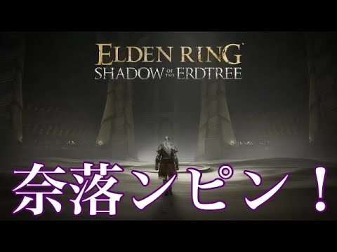 #15  エルデンリングDLC〜ラスボス手前！大乱闘ケツンピンブラザーズ編〜