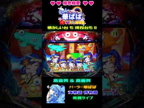 ✨みんな大好き✨🫧大泡の仲間たち⑨🫧🥁ミニキャラの掛け声「そいや～ はっ！」🥁🎌スーパー海物語 IN JAPAN2🎌【 パーラー華ぱぱ・海物語 博物館 】ショート動画 #shorts