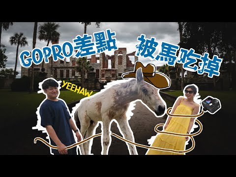 上班族的小確幸-連假充飽電的小秘密?  ft 大自然的好朋友 北美浣熊 白尾鹿和野馬