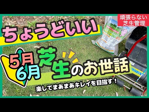 5月6月の芝生の手入れ 頑張らなくてもまあまあキレイを目指します【初心者】