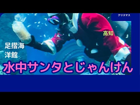 水中サンタとじゃんけんぽん！足摺海洋館(高知)