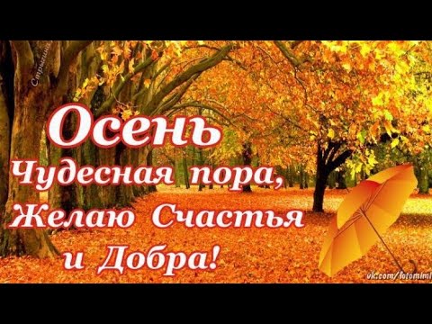 Доброго дня, друзья! Тёплой осени!