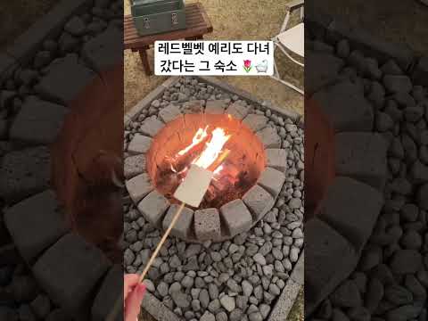 레드벨벳 예리가 다녀갔다는 핫한 숙소 강화도 독채 스파 펜션 ‘멜로우멘션’ 🛁🤍 #강화도펜션 #독채펜션 #숙소추천 #숙소 #강화도여행 #강화 #스파펜션