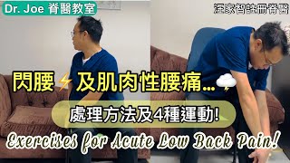 閃腰及肌肉性腰痛…. 處理方法及做運動! [Eng Subtitles] Exercises for Relieving Acute Low Back Pain!