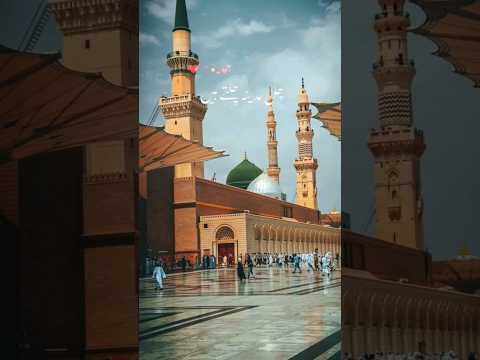 naat | Madina | in Urdu | #shorts #naat #shortsfeed