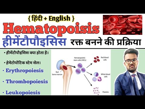 Hematopoiesis | Hematopoiesis In Hindi | Hematopoietic Stem Cell | Formation of Blood|Erythropoiesis