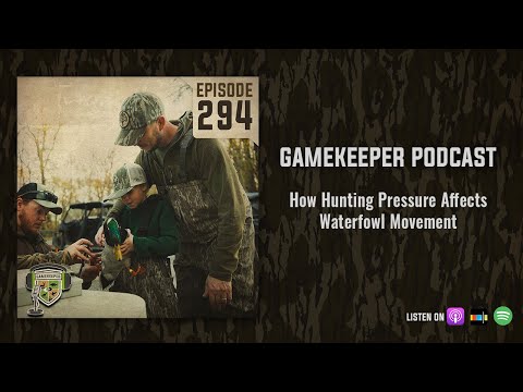 EP:294 | How Hunting Pressure Affects Waterfowl Movement