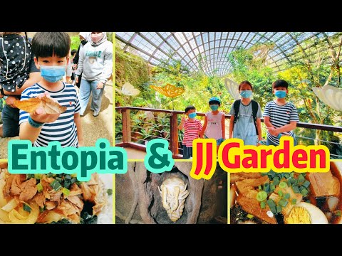 一个百去不厌的地方- 槟城 (三) Entopia & JJ Garden Food Court Penang - Malaysia