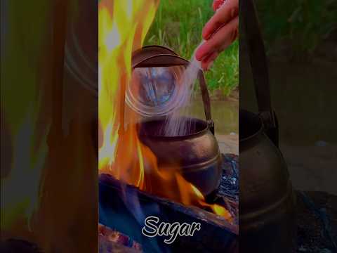 Easy way to make a tea in forest #asmr #forestcamping #woodstove #cookyourself #stove #forest