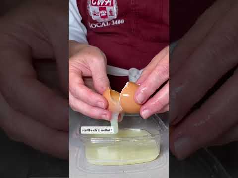 Why We Pasteurize Eggs