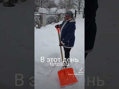 #домиквдеревне