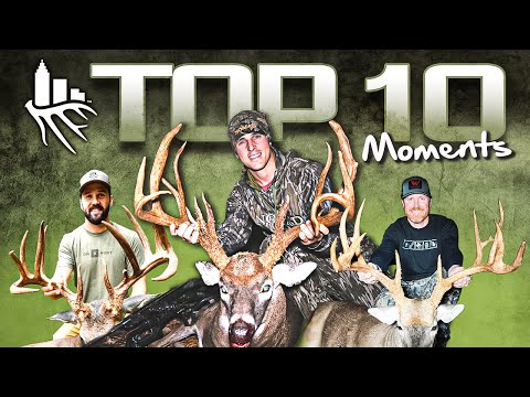 TOP 10 Moments of SEEK ONE!! (A Decade Of Footage)