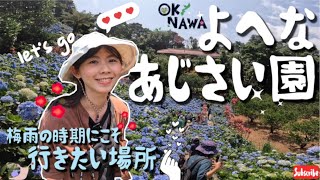 【沖縄北部ー本部町】★必去景點★媲美沖繩海的 #饒平名繡球花園 ｜★梅雨の時期にこそ★行きたい場所 #よへなあじさい園 ！