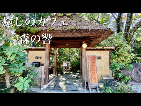 【古民家カフェ】森の響　茅葺きの門をくぐれば非日常の空間/隠れ家カフェ