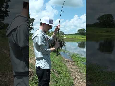 This is a  GO TO Bank Fishing Set UP!