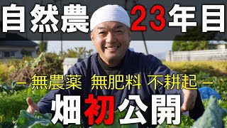 【※必見！】自然農法23年目の畑初公開ー無農薬・無肥料・無除草剤・不耕起－