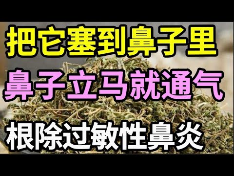 路边一棵草，竟是过敏性鼻炎的克星，把它塞到鼻子里，堵住的鼻子通气了，打喷嚏流鼻涕也一起没了【家有大中医】