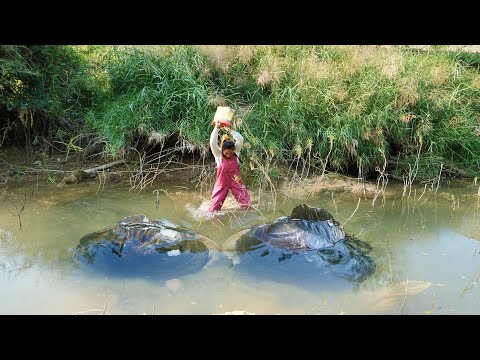 Two clams lick each other in the water, producing countless beautiful and charming pearls