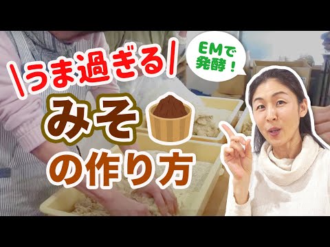 美味しいお味噌の作り方　決めては〇〇！　さやか×発酵シスターズ