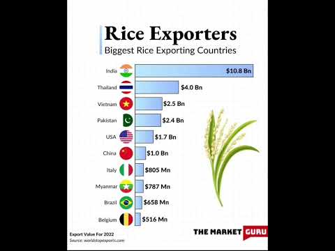 Biggest Rice Exporting Countries 2023 #rice #india #sharemarket #trading #stocks #stockmarket #yt