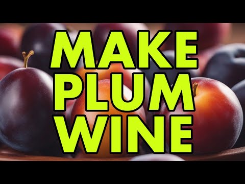 Plum Perfect: Brew Wine Like a Pro!