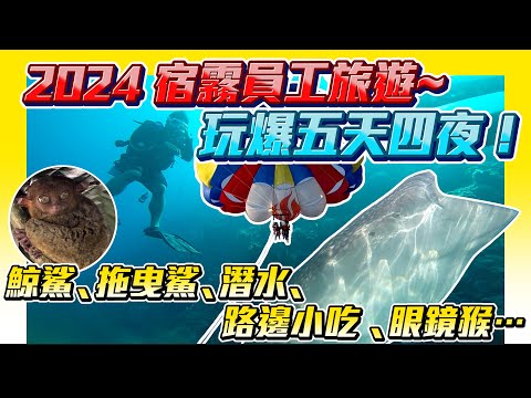 【藍箱水族】2024員工旅遊玩爆菲律賓宿霧！看我們玩什麼！宿霧＋薄荷島行程與住宿分享