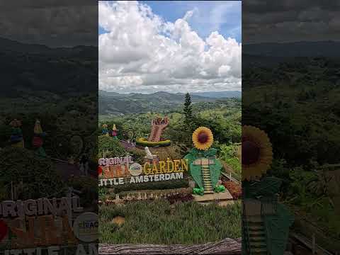 菲律賓宿霧最漂亮的花園!｜The most beautiful gardens in Cebu, Philippines