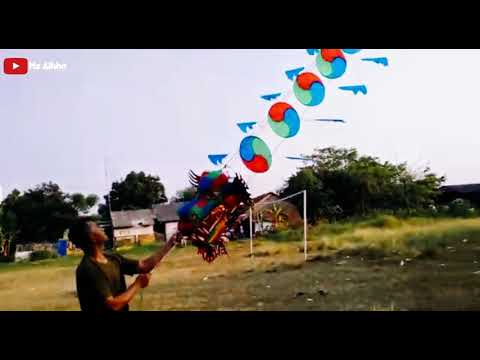 Fly a Dragon Kite | Menerbangkan layangan Naga