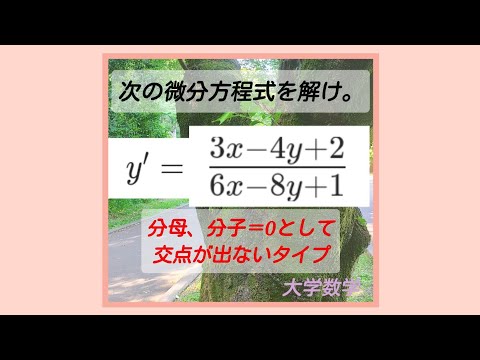 「y'=1次式/1次式」の微分方程式③『分母＝0,分子＝0とした直線』が平行のタイプ。일본어 리듬으로 일본 대학의 수학을 배우자.