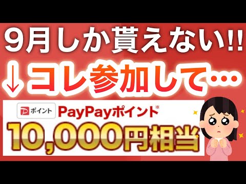 こんなにPayPay貰えるの珍しくない…？限定400pも‼︎