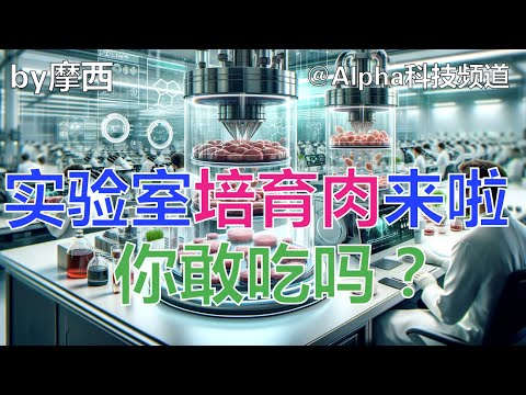 实验室培育肉来啦，你敢吃吗？｜cultivated meat，lab-grown meat｜@Alpha科技频道， by Alpha的摩西