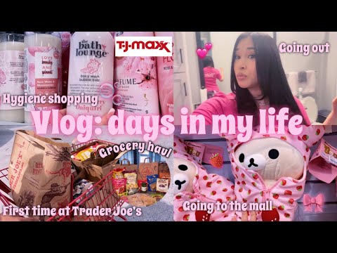 A very productive day in my life ♡: first time at Trader Joe’s, movies, shopping, & girl things