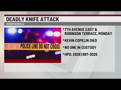 Police investigating fatal Hendersonville knife attack