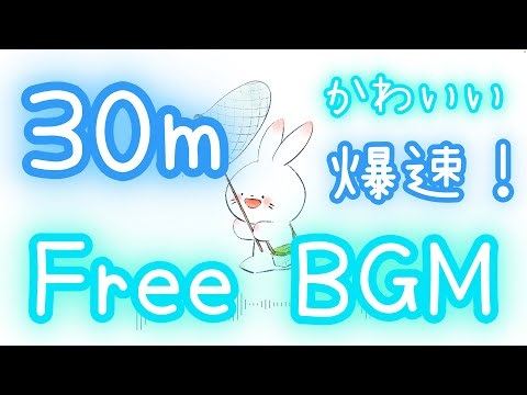 【フリーBGM/30分耐久】ちょっ！！！！せみ、、、、、【かわいい/爆速】