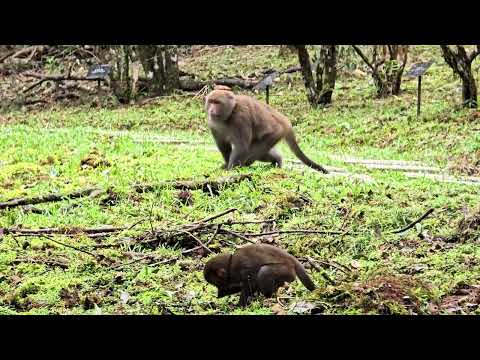 Nov 27,2024 Richard 福山植物園