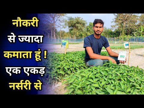 नर्सरी के बिजनेस मे लाखो कमाई है | vegetable nursery business plan | nursery business