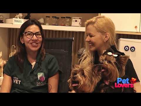 Ep #12 INSERIR | Melhores Momentos | PROGRAMA PETLOVERS