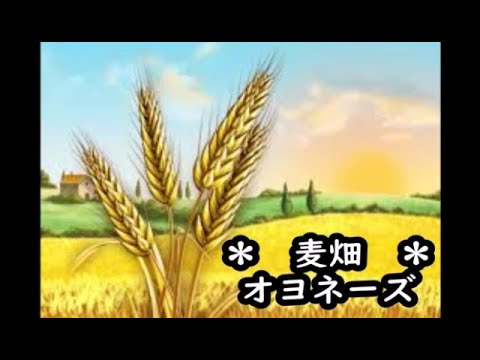 オヨネーズ　麦畑　カラオケ　＜歌詞入り＞