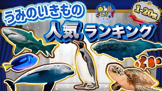 【海の生き物 大集合】うみのいきものランキング top20☆人気No.1はだれかな？【子供向け 水族館アニメ】イルカ サメ クジラ