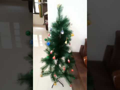 Christmas Tree Transformation🎄🎄